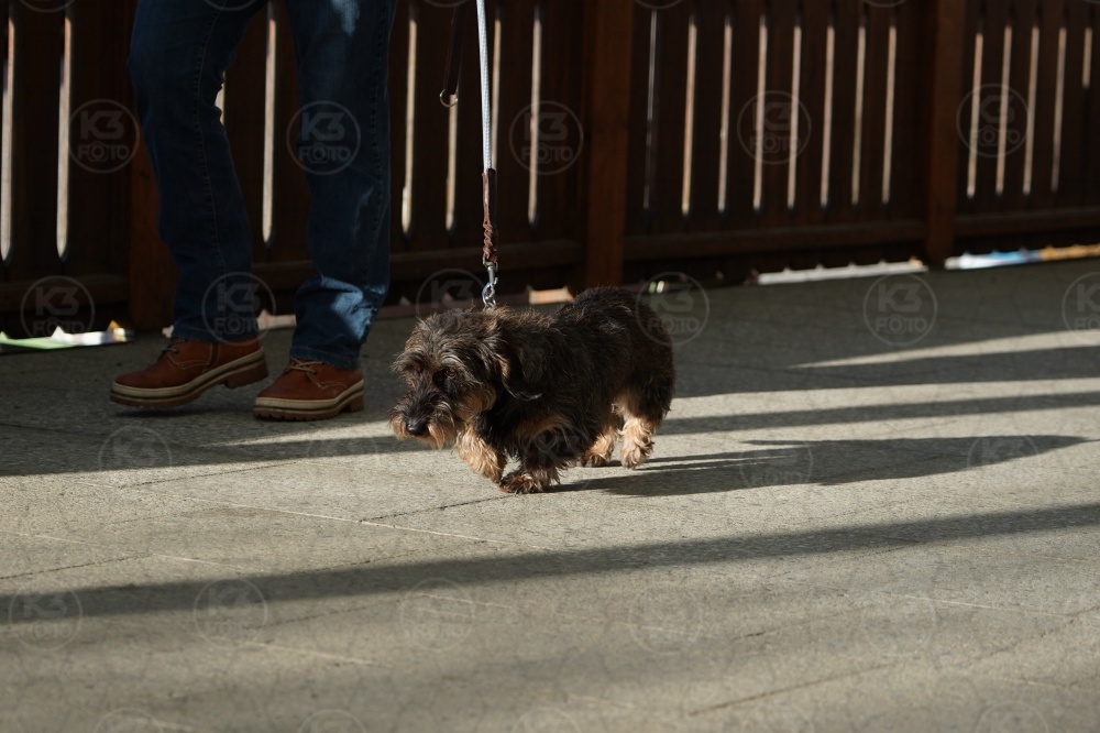s_A9_09057.jpg